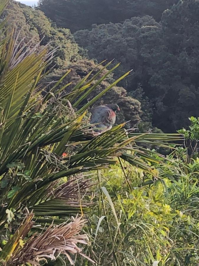 Muriwai Lodge Extérieur photo